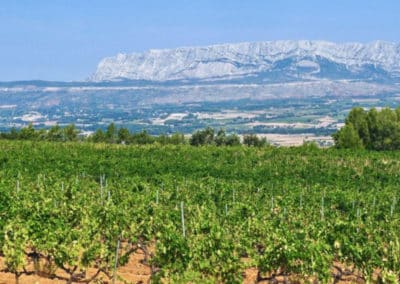 Provence Wine Tours - View of Sainte-Victoire Mountain far away