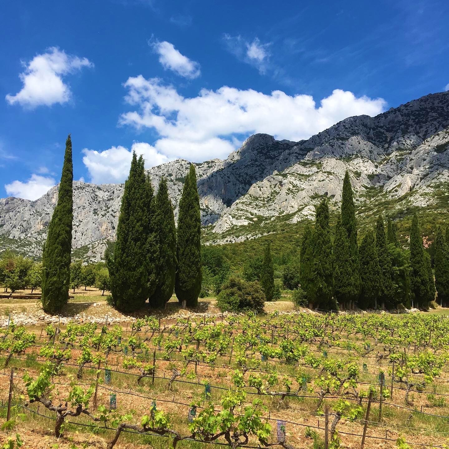 provence and wine tours